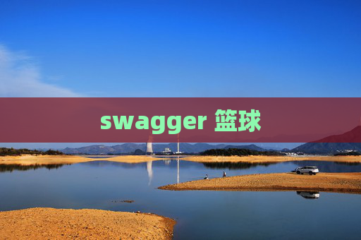 swagger 篮球 swagger 篮球